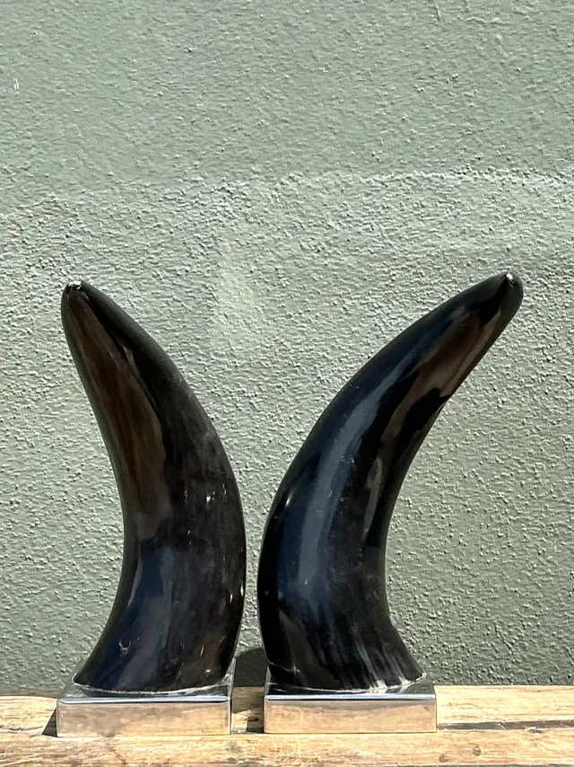 Vintage Natural Horns On Chrome Plinths - A Pair — additional photo 4