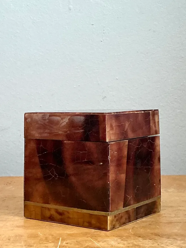 Vintage Lacquered Horn Accent Box — additional photo 3