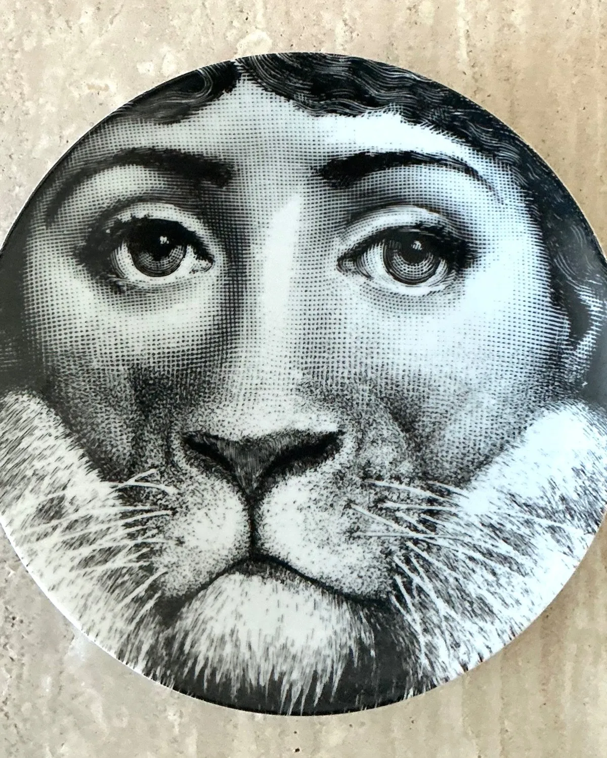 Vintage Fornasetti Tema e Variazioni Plate — additional photo 6