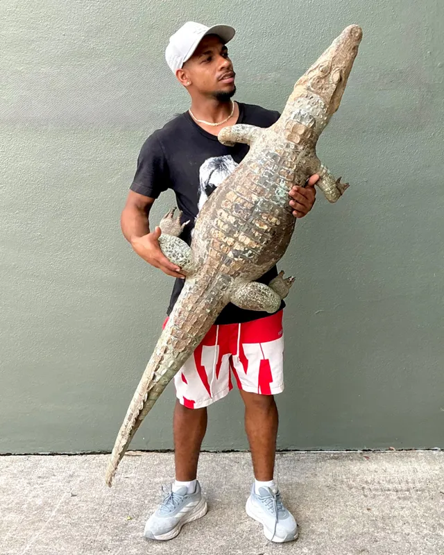 Vintage MCM Taxidermy Alligator — additional photo 4