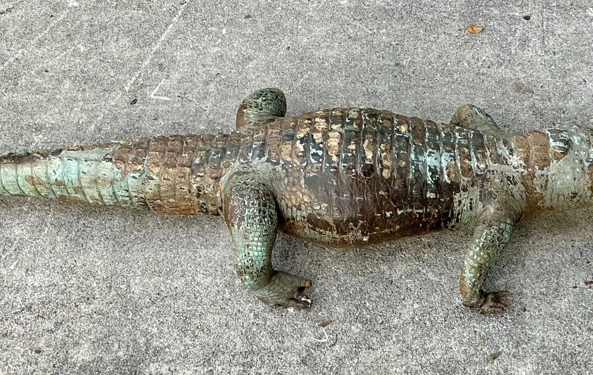 Vintage MCM Taxidermy Alligator — additional photo 6