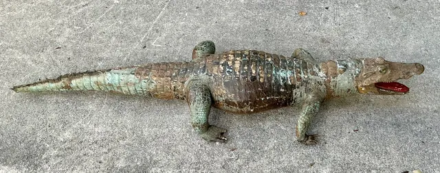 Vintage MCM Taxidermy Alligator — additional photo 6