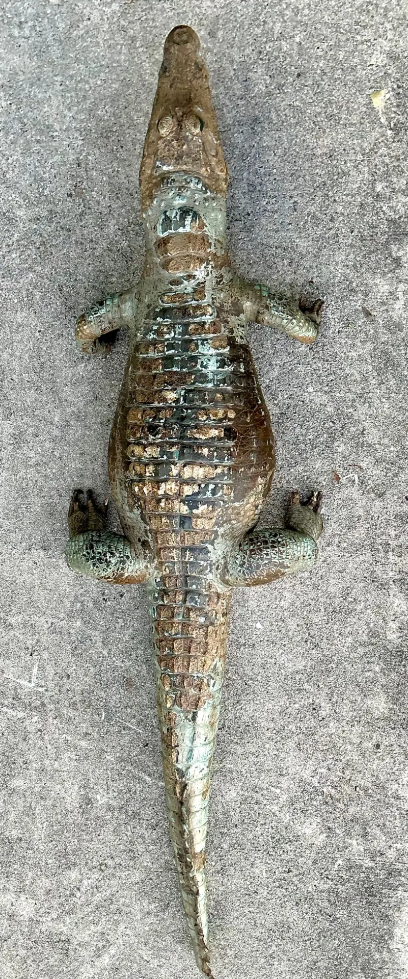 Vintage MCM Taxidermy Alligator — additional photo 7