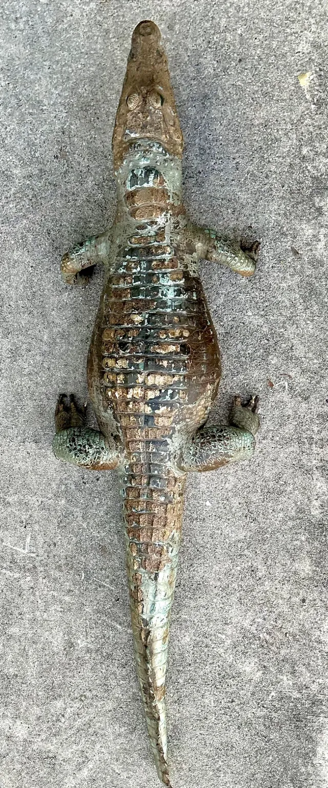 Vintage MCM Taxidermy Alligator — additional photo 7