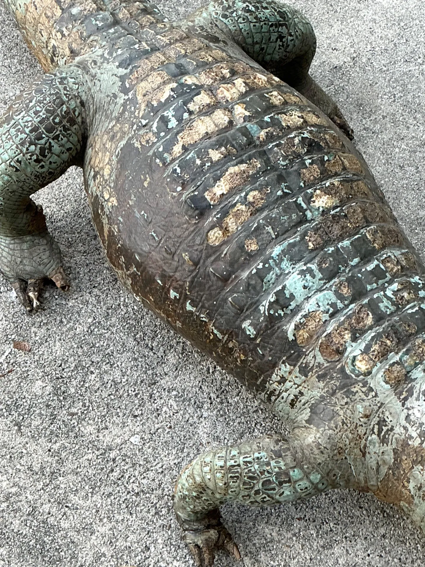 Vintage MCM Taxidermy Alligator — additional photo 3