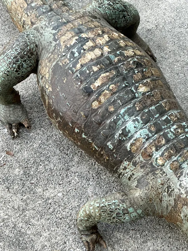 Vintage MCM Taxidermy Alligator — additional photo 3