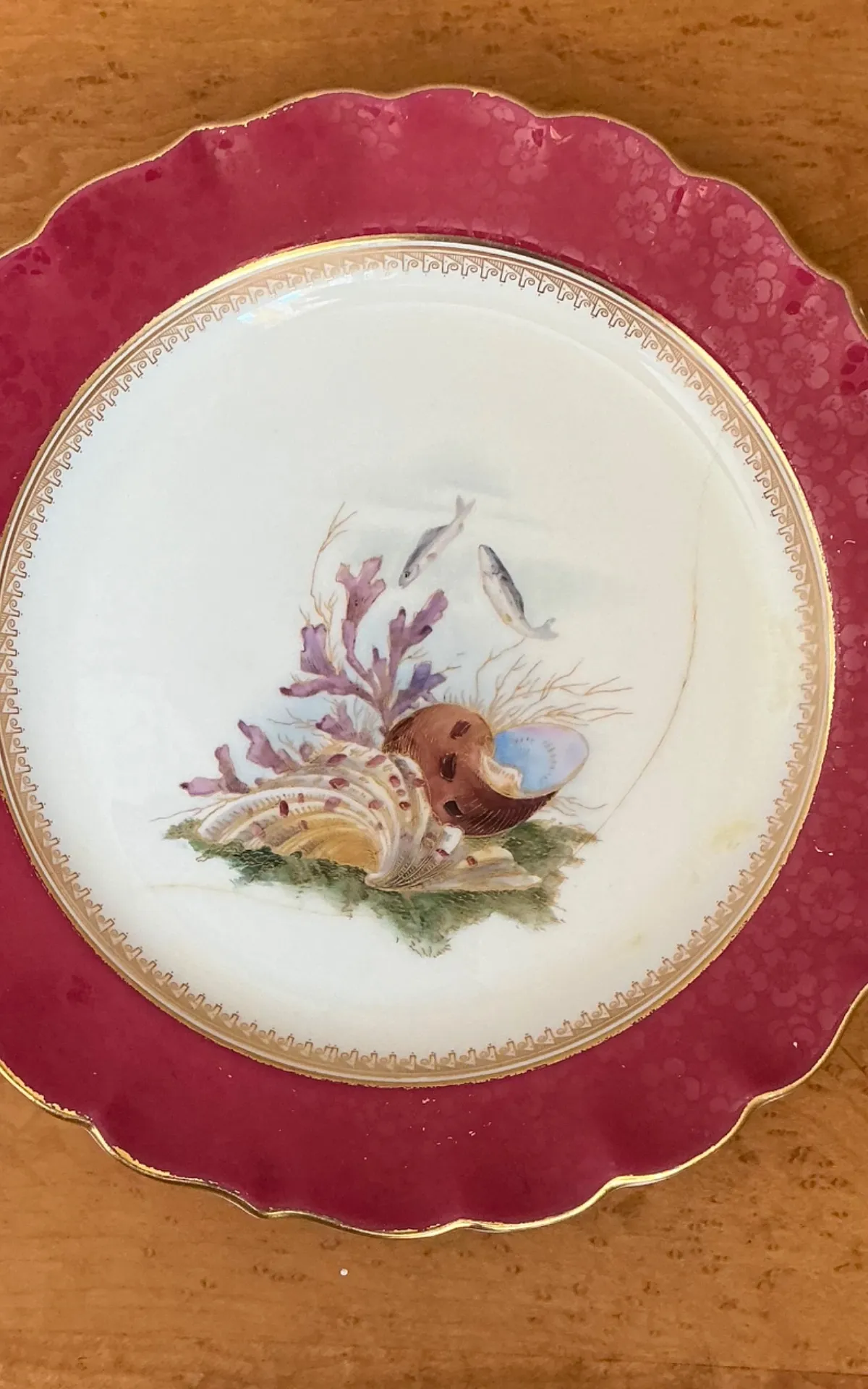Vintage Sea Life Decorated Dinner Plates - Set of 12 — additional photo 4