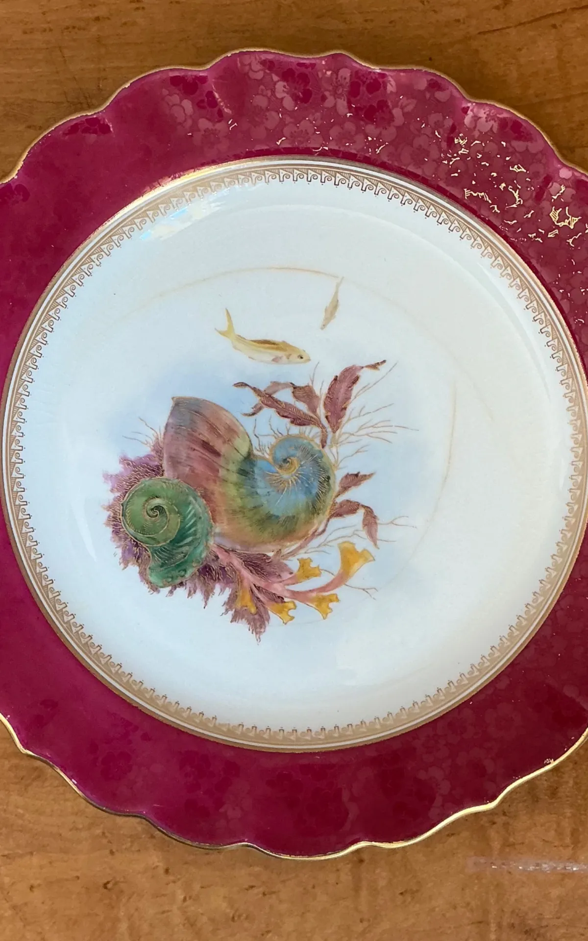 Vintage Sea Life Decorated Dinner Plates - Set of 12 — additional photo 7