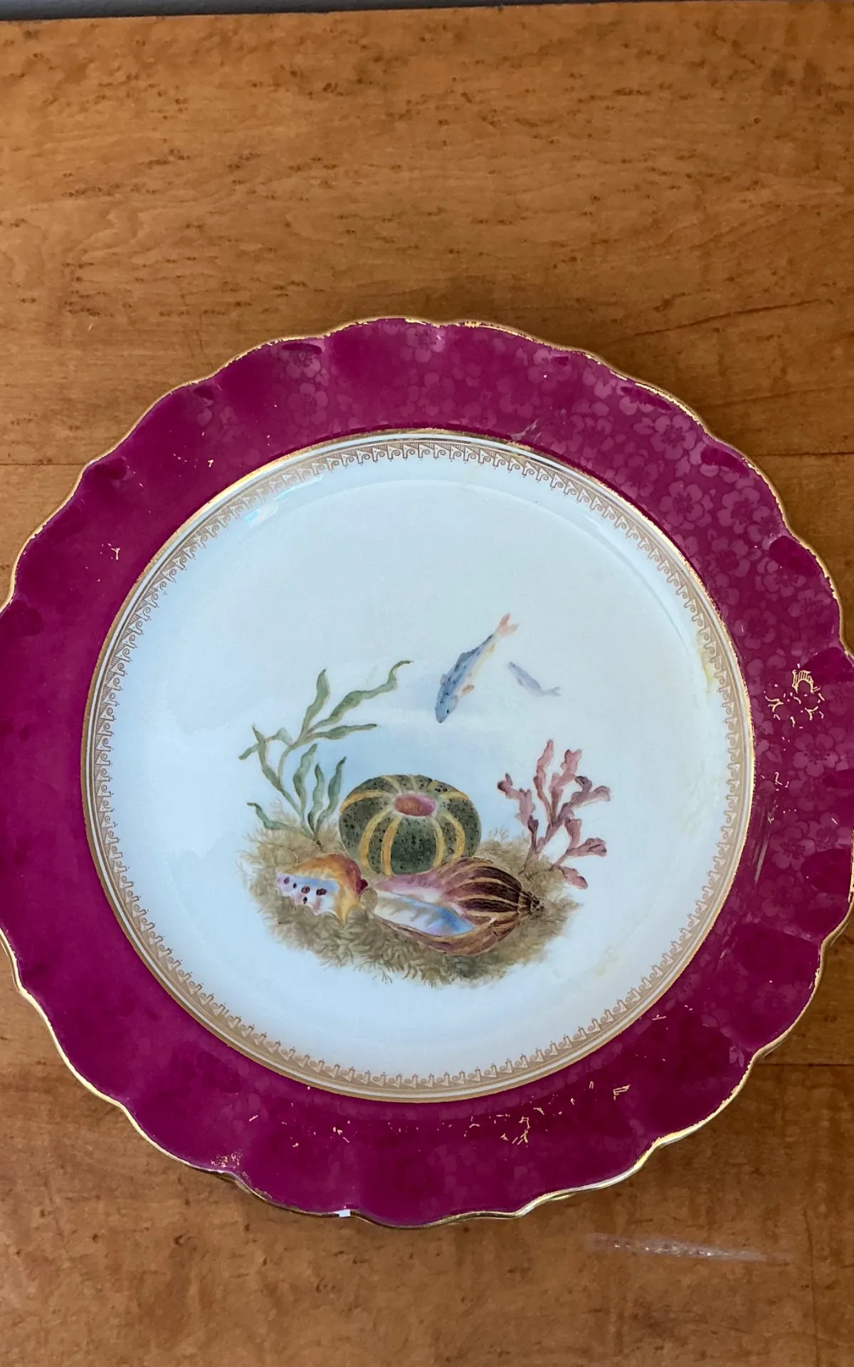 Vintage Sea Life Decorated Dinner Plates - Set of 12 — additional photo 1