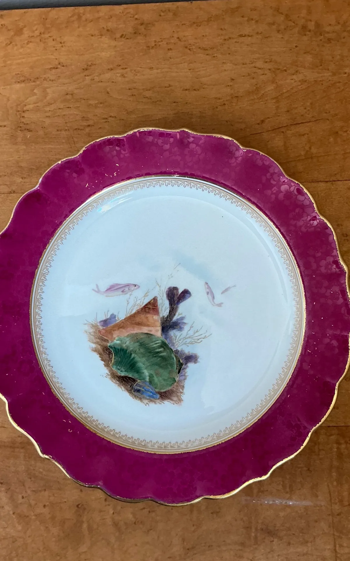 Vintage Sea Life Decorated Dinner Plates - Set of 12 — additional photo 3