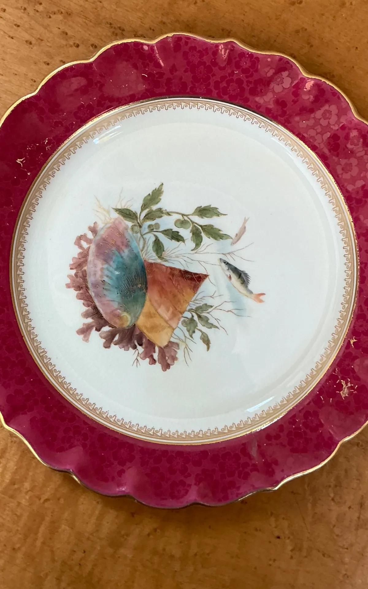 Vintage Sea Life Decorated Dinner Plates - Set of 12 — additional photo 8