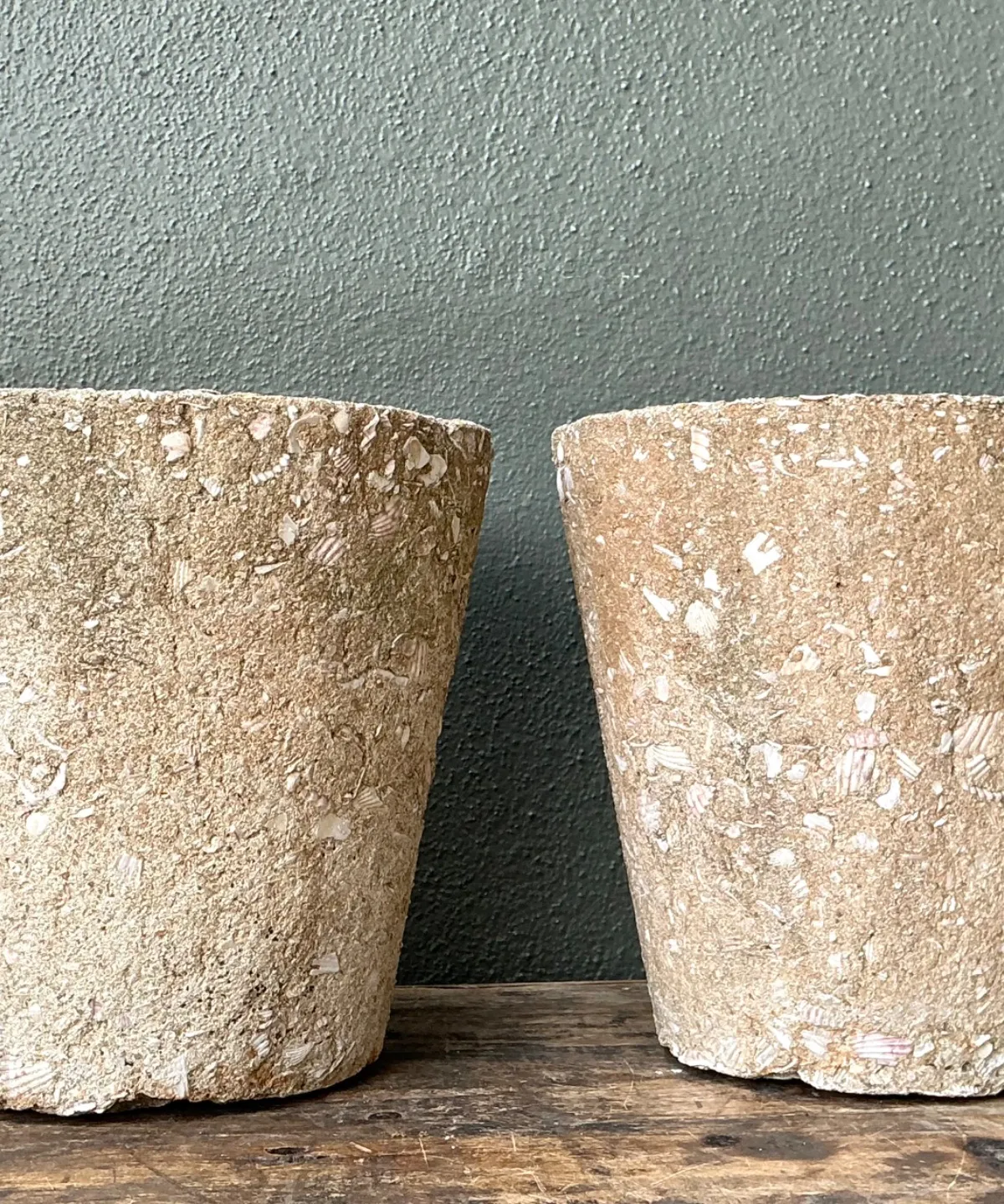Vintage Shell Aggregate Planters - Pair — additional photo 6