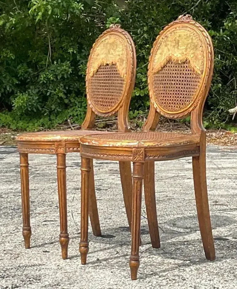 Vintage 18th Century Gesso and Cane Medallion Chairs With Tapestry Detail - a Pr — additional photo 5