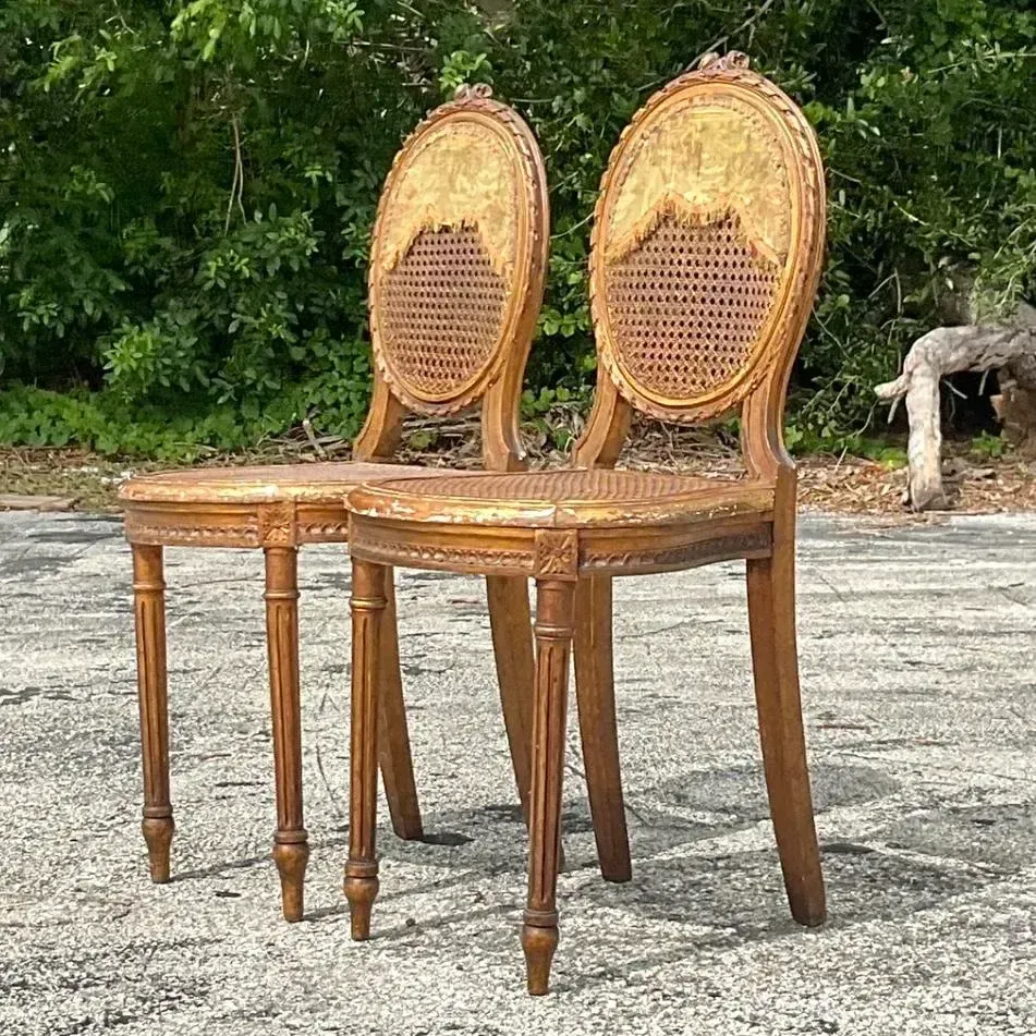 Vintage 18th Century Gesso and Cane Medallion Chairs With Tapestry Detail - a Pr — additional photo 6