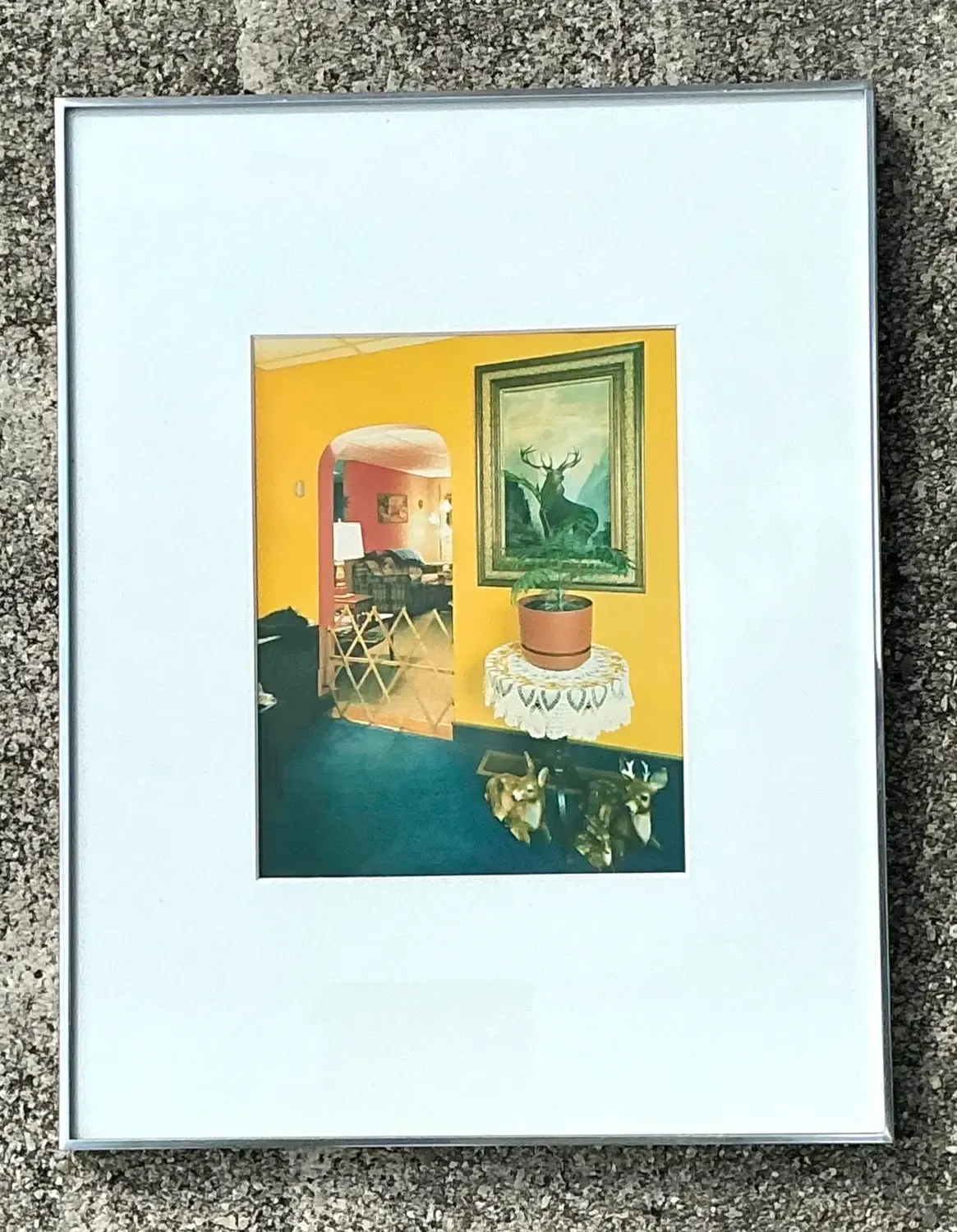 Vintage 1982 Vintage Original Stephen Myers C-Print “Monarch of the Hills” — additional photo 6