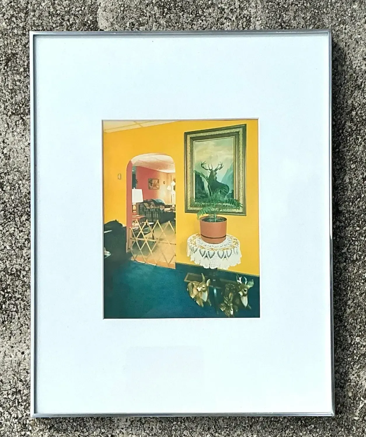 Vintage 1982 Vintage Original Stephen Myers C-Print “Monarch of the Hills” — additional photo 8