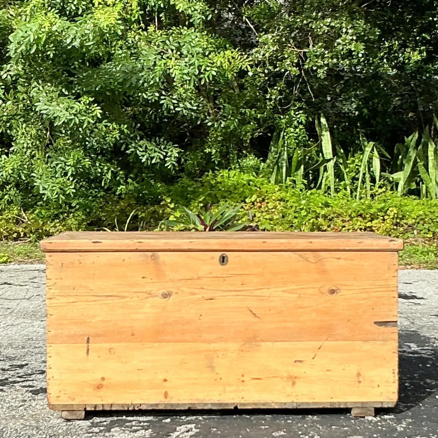Vintage Boho 19th Century Pine Blanket Chest — additional photo 5