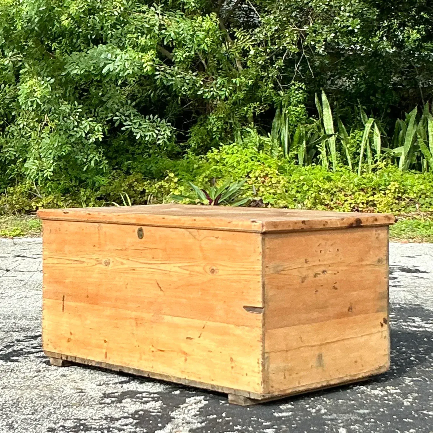Vintage Boho 19th Century Pine Blanket Chest — additional photo 6