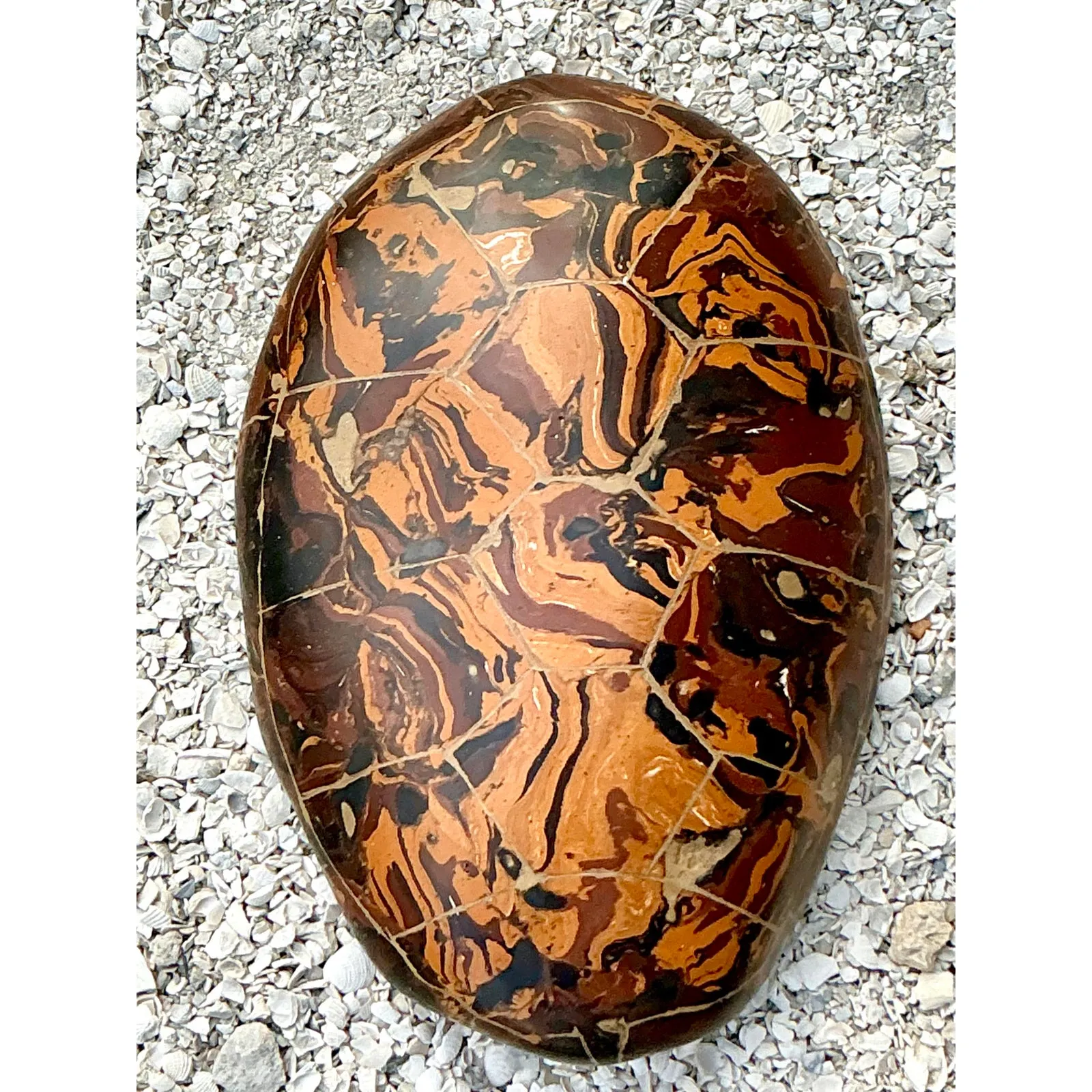 Vintage Boho Artisinal Pigmented Plaster Scagliola Turtle Shell — additional photo 4