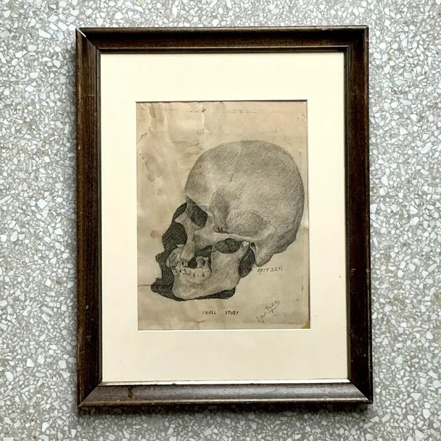 Vintage Boho Original Pencil Sketch of Skull — additional photo 1