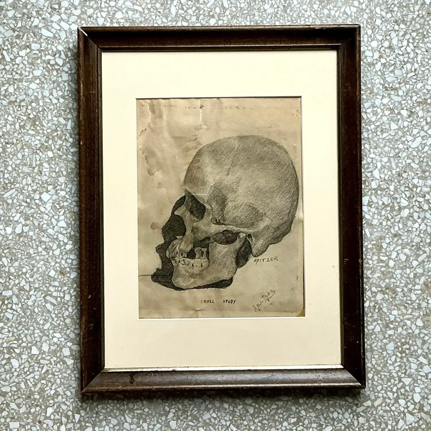 Vintage Boho Original Pencil Sketch of Skull — additional photo 3