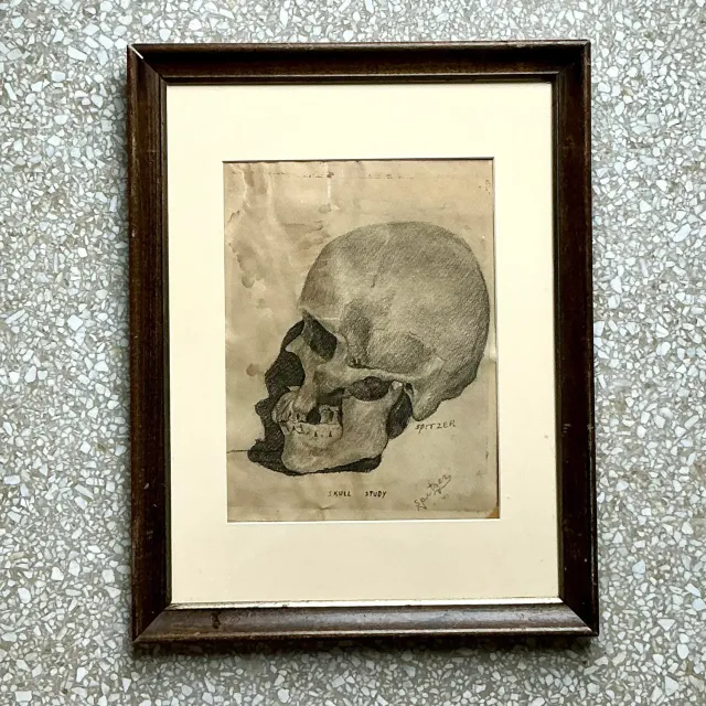 Vintage Boho Original Pencil Sketch of Skull — additional photo 3