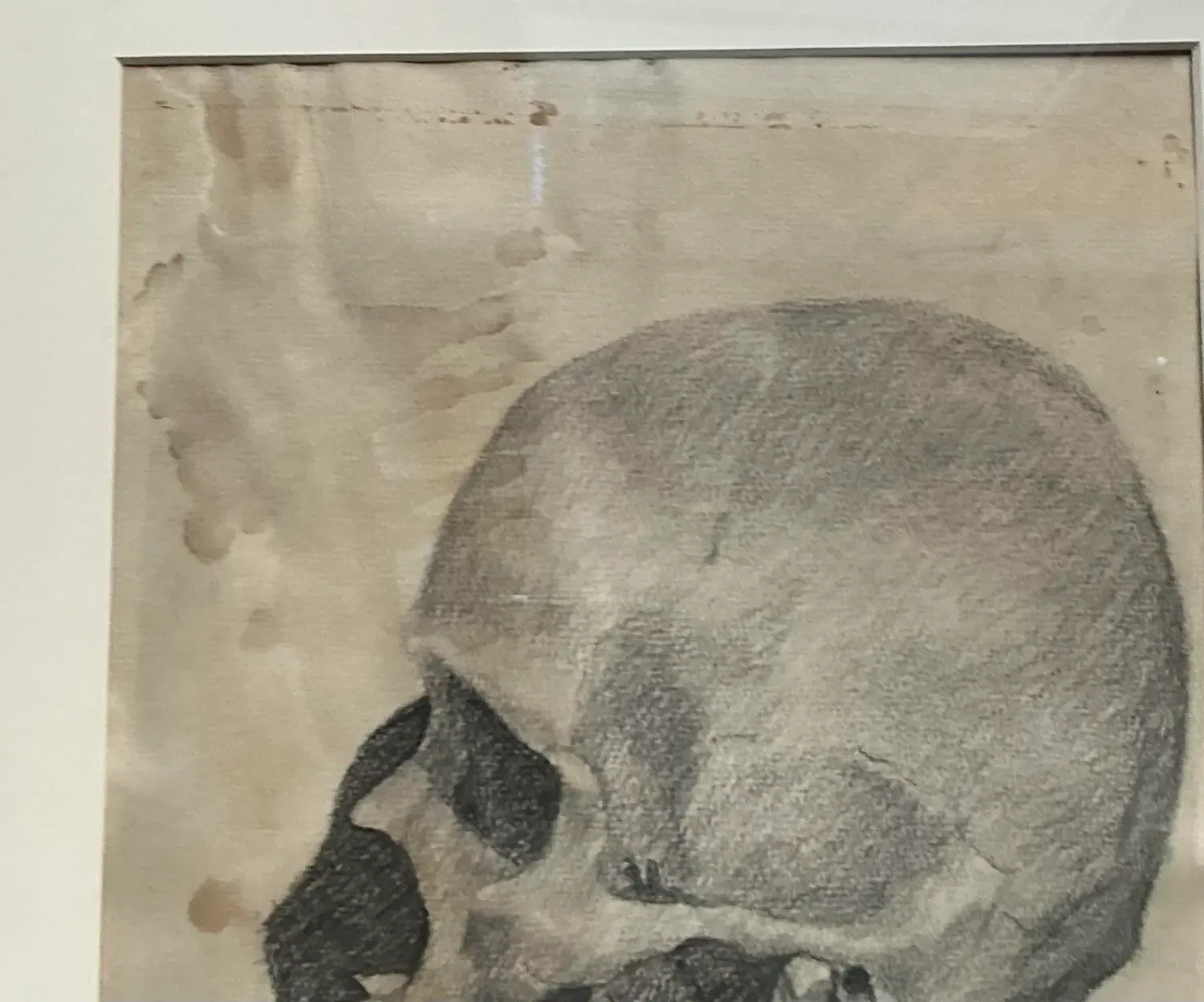 Vintage Boho Original Pencil Sketch of Skull — additional photo 4