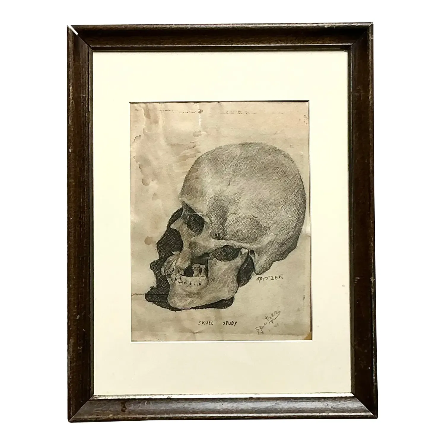 Vintage Boho Original Pencil Sketch of Skull — additional photo 5