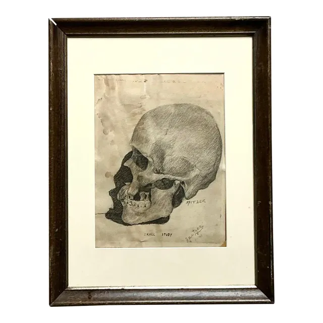 Vintage Boho Original Pencil Sketch of Skull — additional photo 5