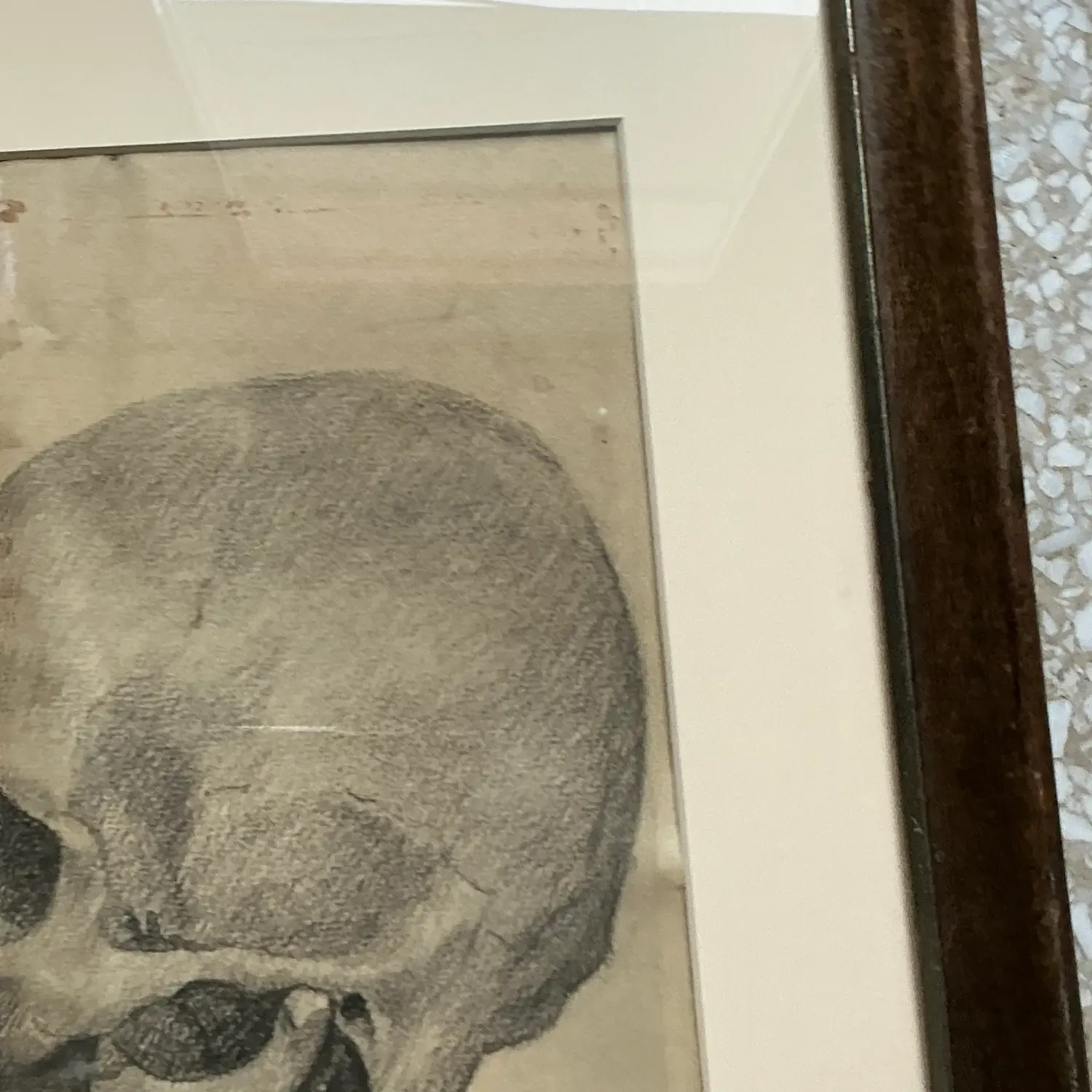 Vintage Boho Original Pencil Sketch of Skull — additional photo 6