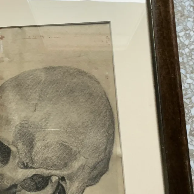 Vintage Boho Original Pencil Sketch of Skull — additional photo 6