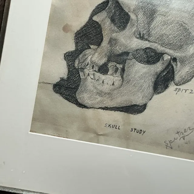 Vintage Boho Original Pencil Sketch of Skull — additional photo 7