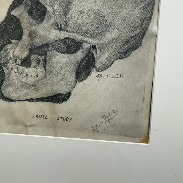 Vintage Boho Original Pencil Sketch of Skull — additional photo 8