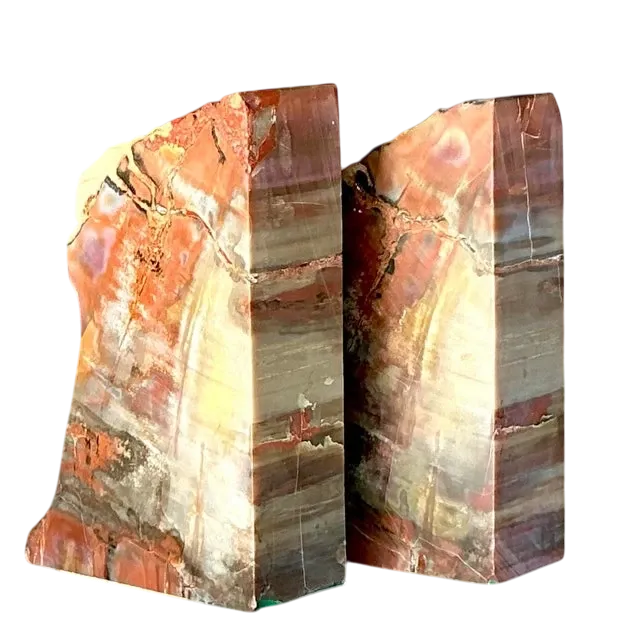 Vintage Boho Petrified Wood Bookends- Set of 2
