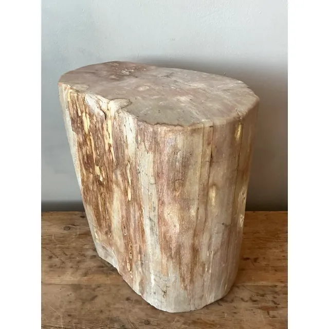 Vintage Boho Petrified Wood Stool — additional photo 2