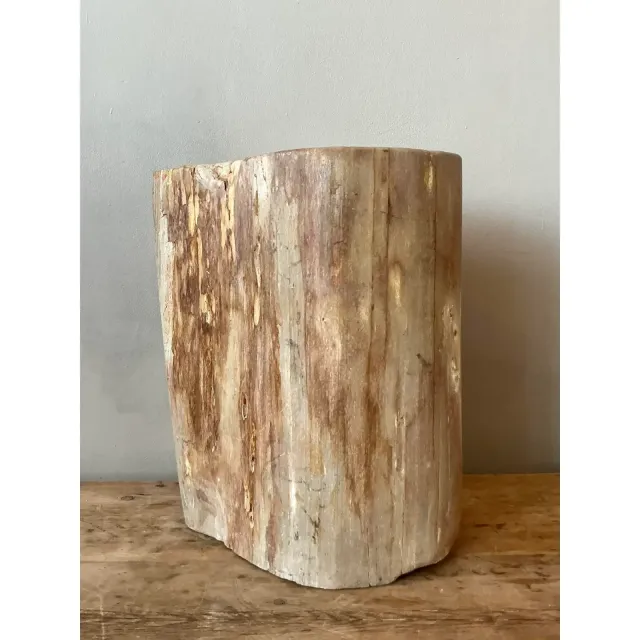 Vintage Boho Petrified Wood Stool — additional photo 5