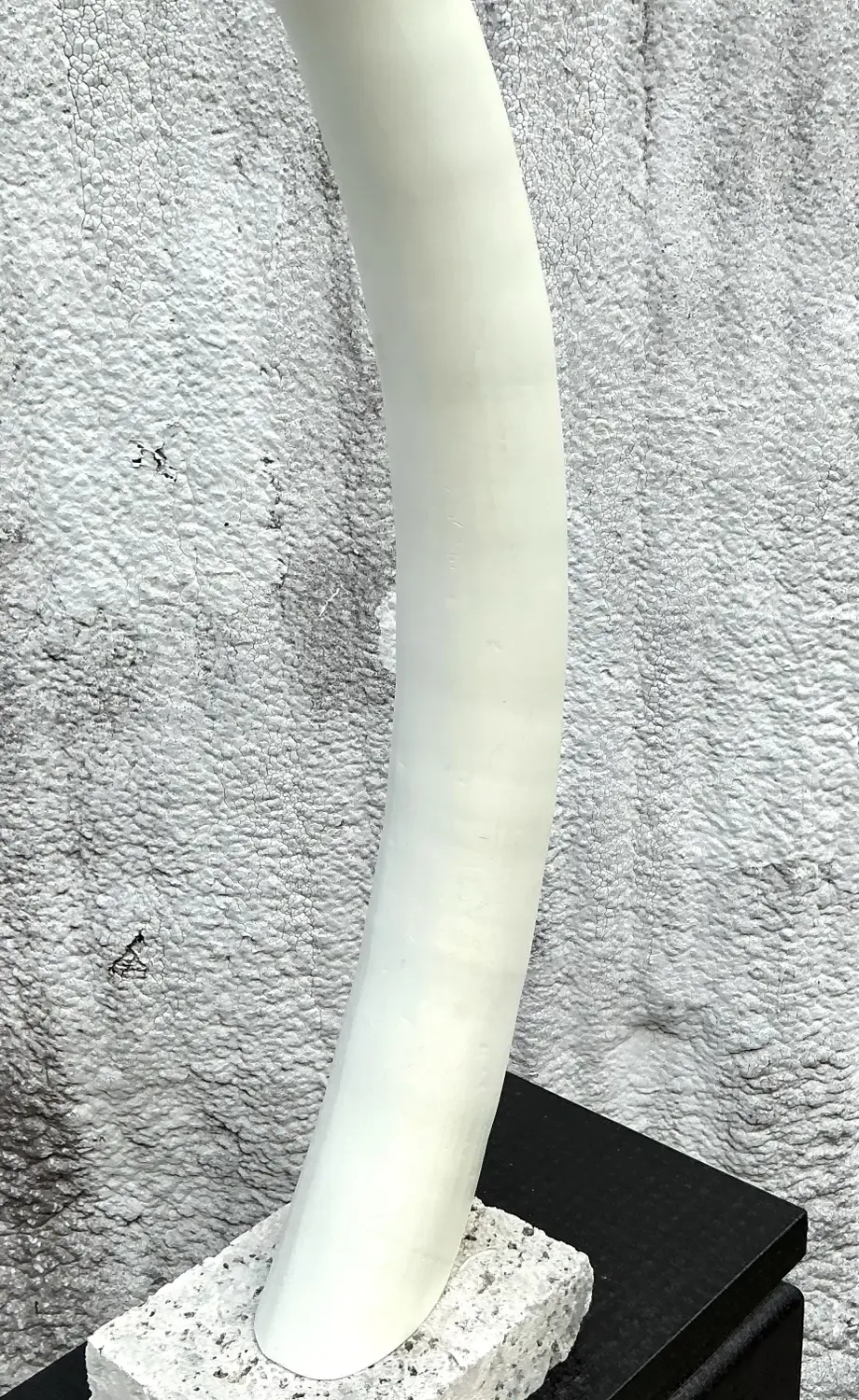 Vintage Boho Plaster Elephant Tusks on Coquina Plinth - a Pair — additional photo 3