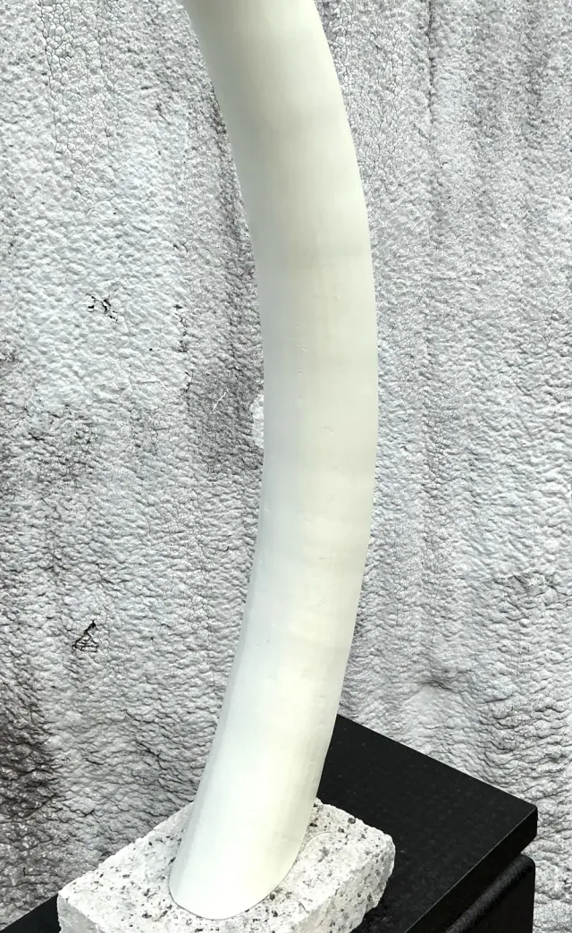 Vintage Boho Plaster Elephant Tusks on Coquina Plinth - a Pair — additional photo 3