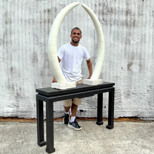 Vintage Boho Plaster Elephant Tusks on Coquina Plinth - a Pair — additional photo 6