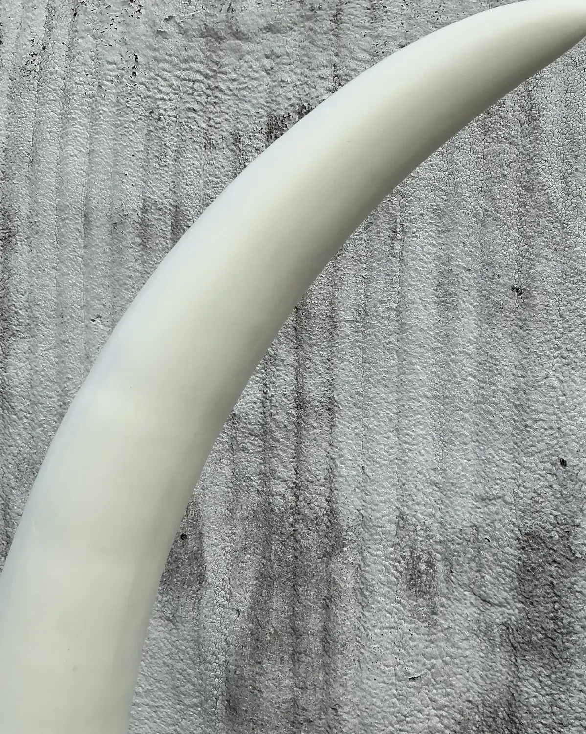 Vintage Boho Plaster Elephant Tusks on Coquina Plinth - a Pair — additional photo 8