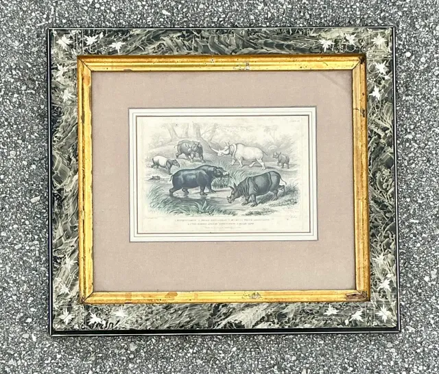 Vintage Boho Rhino Engraving in Carved Frame — additional photo 5
