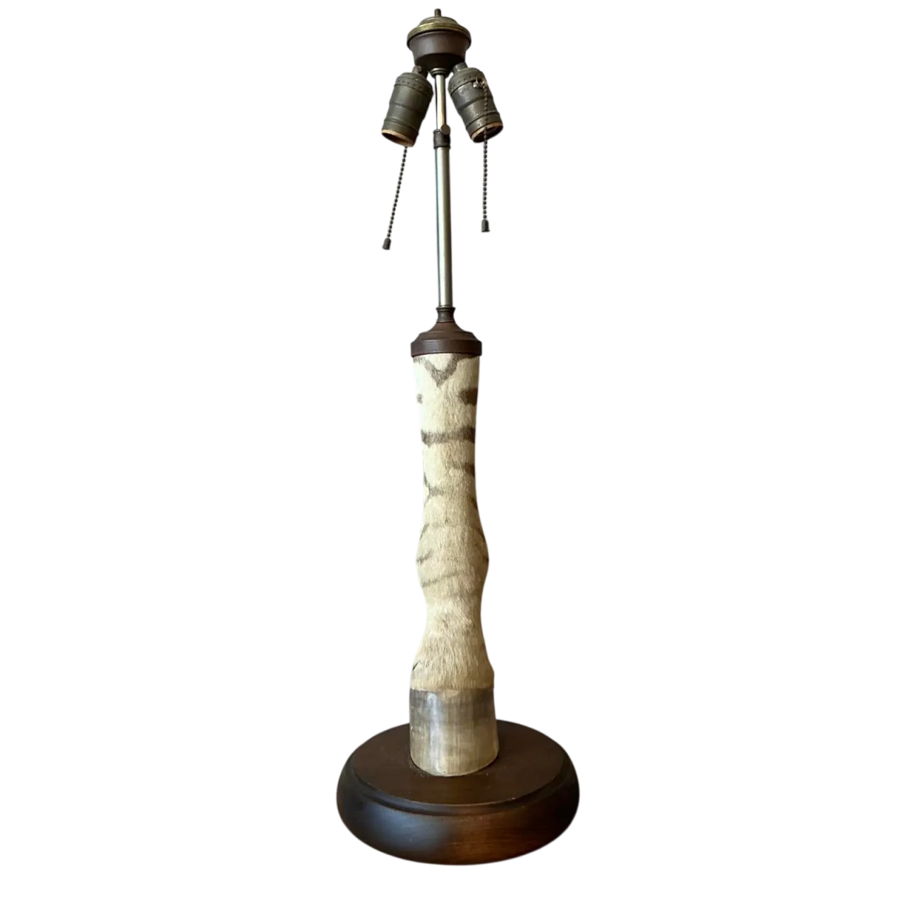 Vintage Boho Taxidermy Zebra Lamp