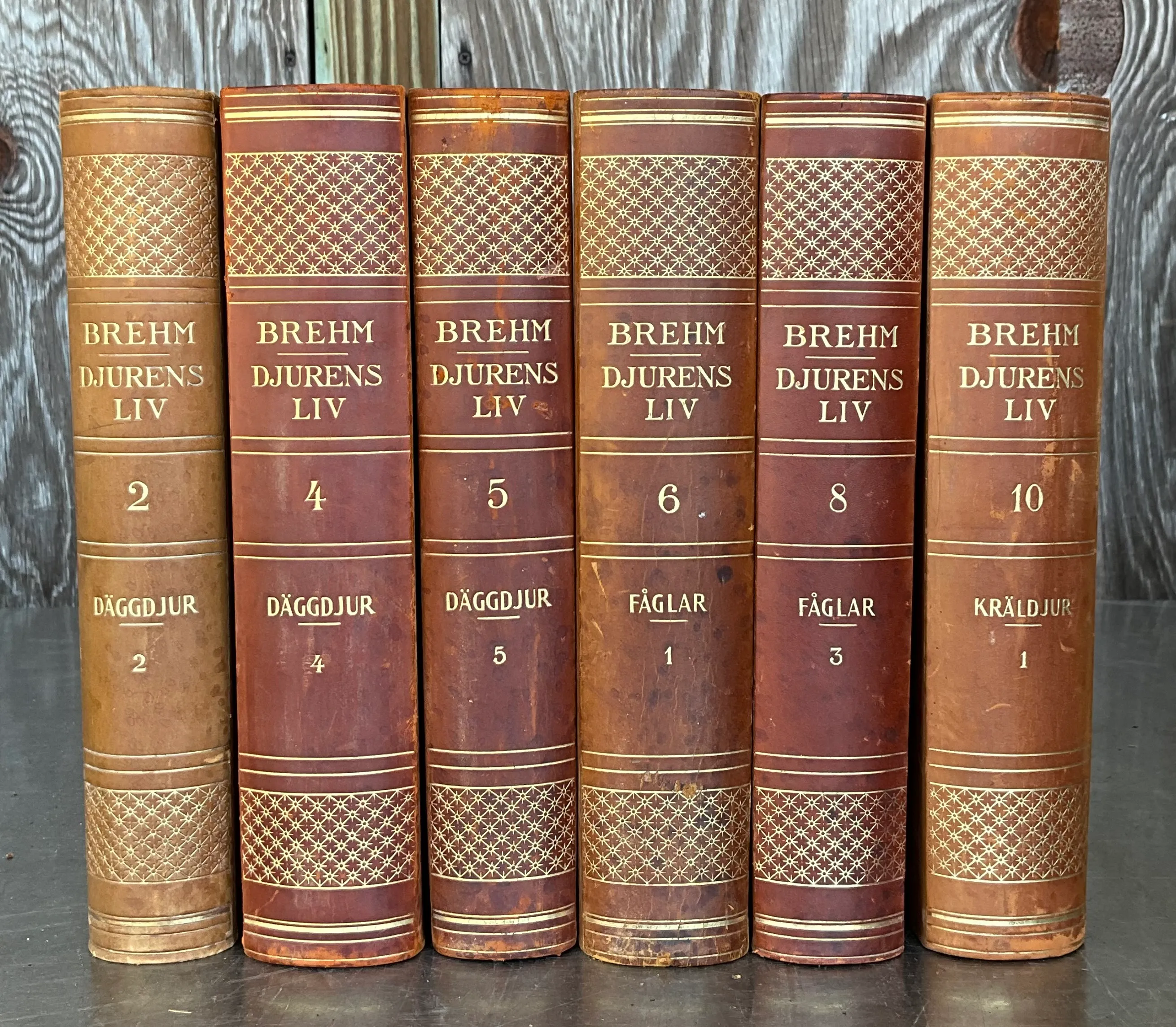 Vintage Brehm Djurens Liv- Set of 6 — additional photo 1