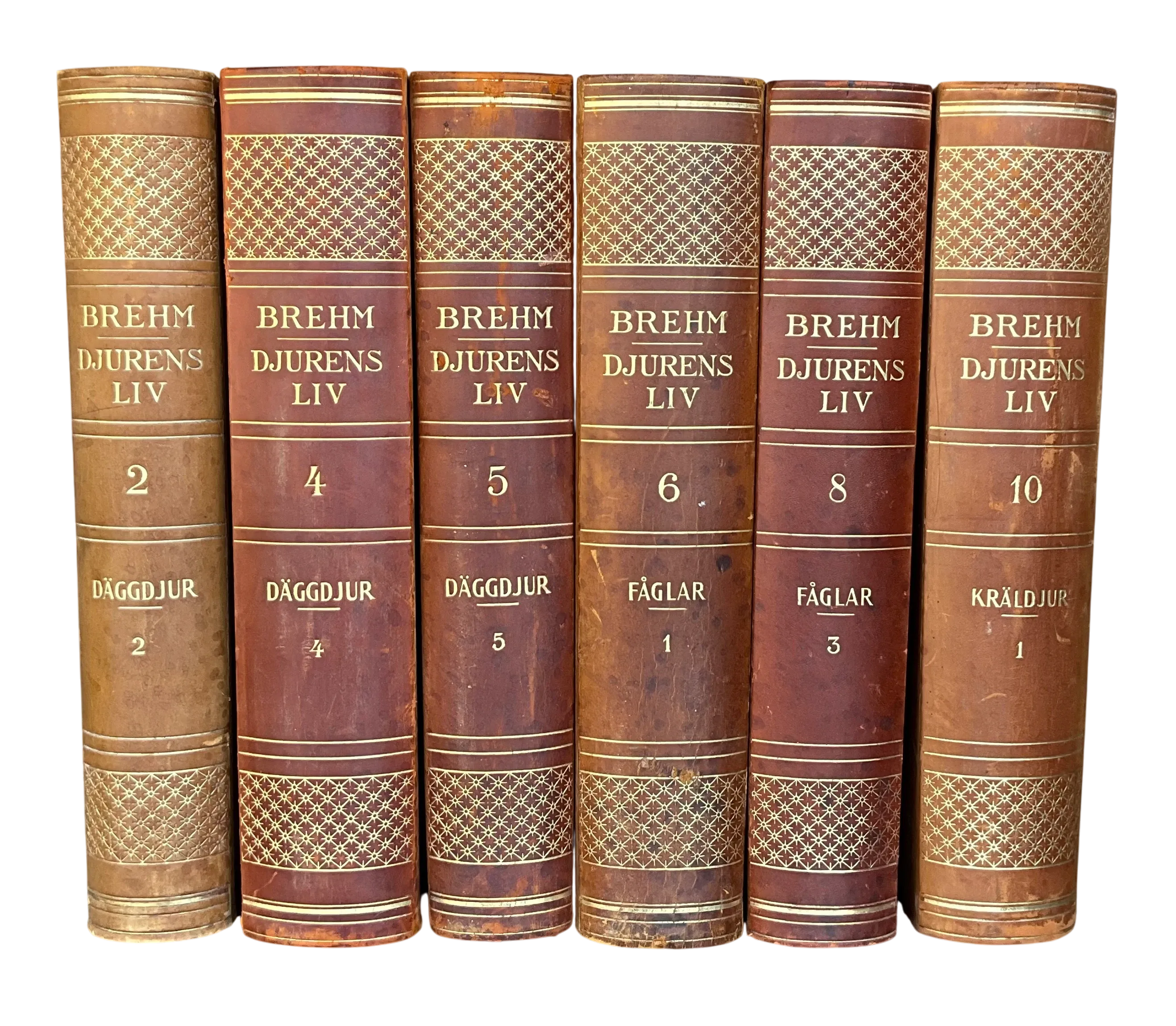 Vintage Brehm Djurens Liv- Set of 6 — additional photo 2