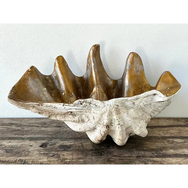 Vintage Cast Resin Giant Clamshell — additional photo 3