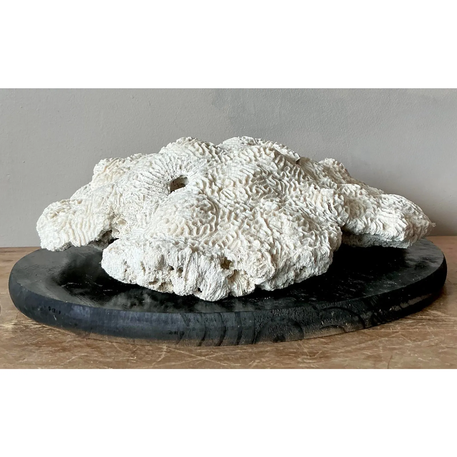 Vintage Coastal Brain Coral — additional photo 3