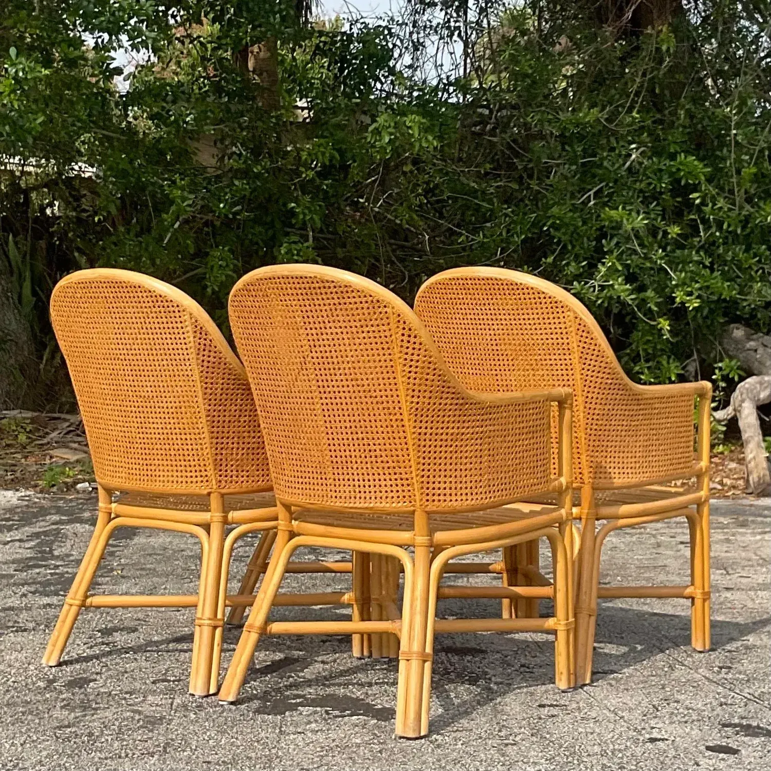 Vintage Coastal Cane Rattan Dining Chairs After McGuire - Set of 4 — additional photo 2