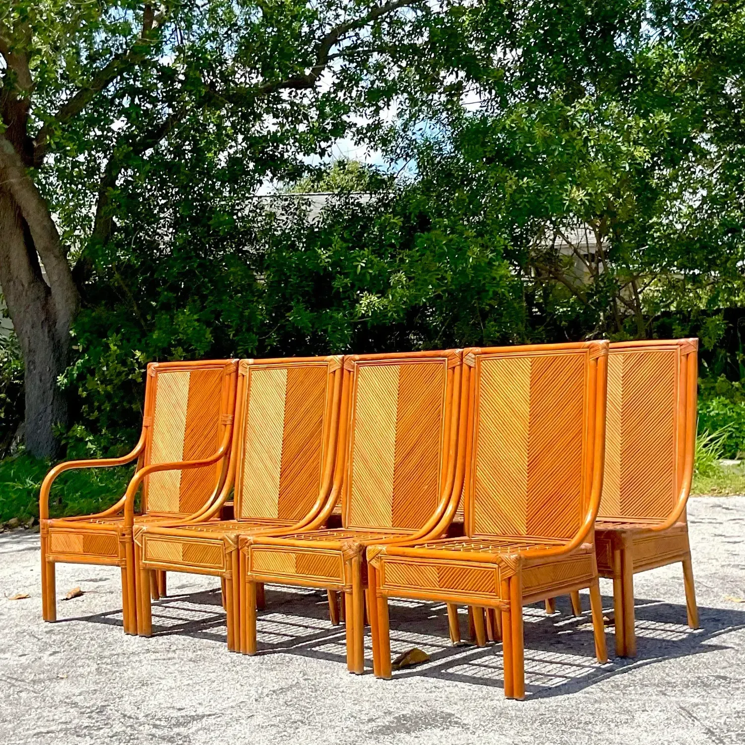 Vintage Coastal Chevron Pencil Reed Dining Chairs - Set of 8 — additional photo 5
