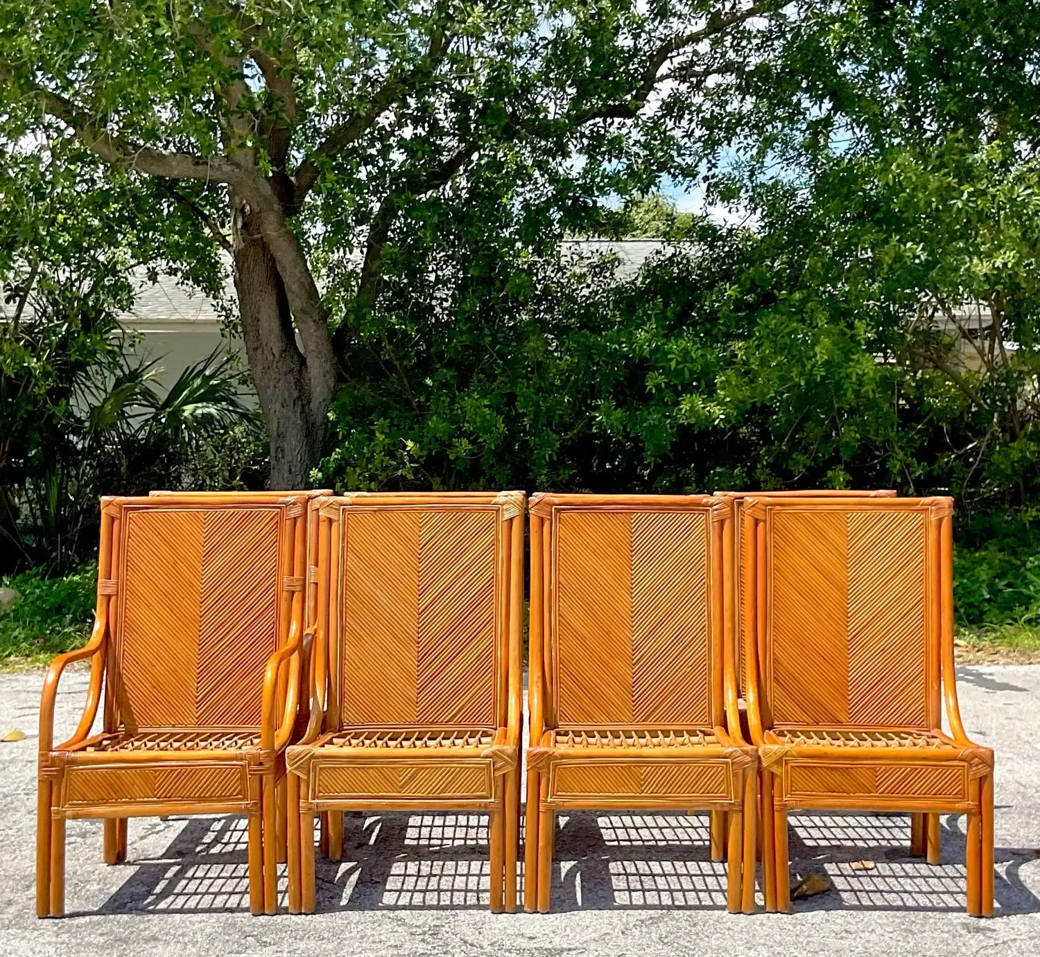 Vintage Coastal Chevron Pencil Reed Dining Chairs - Set of 8 — additional photo 6