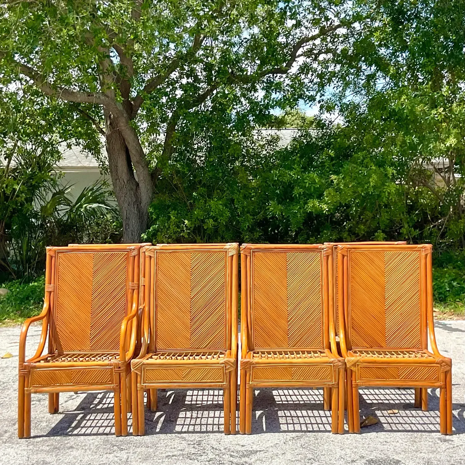 Vintage Coastal Chevron Pencil Reed Dining Chairs - Set of 8 — additional photo 7